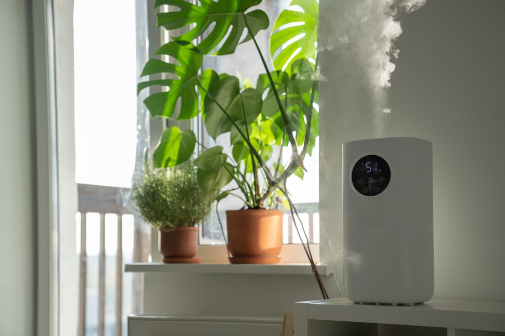 Modern humidifier at home, moistens dry air surrounded by indoor plant. Apartment with moisturizer. | Dan's HVAC